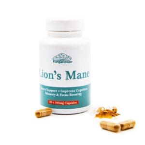 Lions Mane Capsules 500Mg (1)