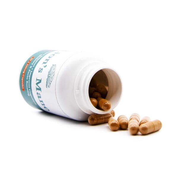 Lions Mane Capsules 500Mg (3)