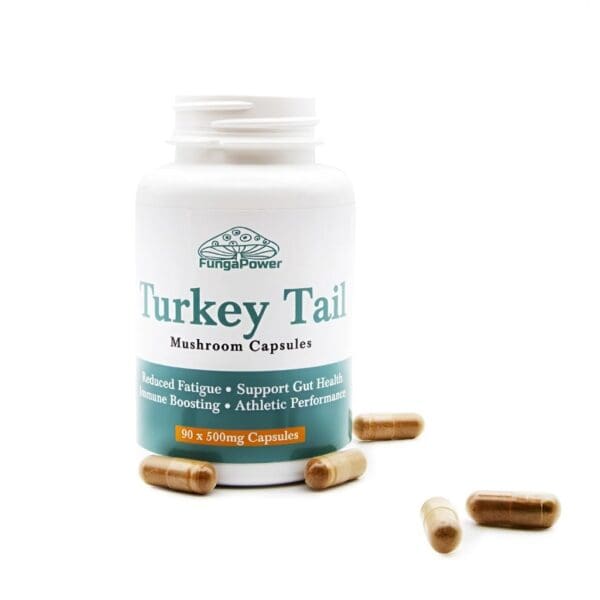Turky Tail-500mg-capsules1